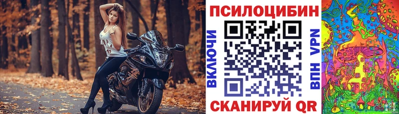 Галлюциногенные грибы Cubensis  Карасук 